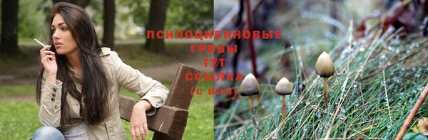 spice Новокубанск