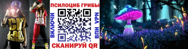 Псилоцибиновые грибы Psilocybe  Купить закладки  Лянтор 